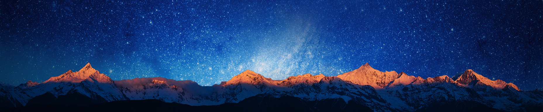 Mulberry Leaf Extract