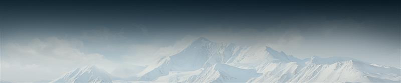 Lion’s Mane Mushroom Extract