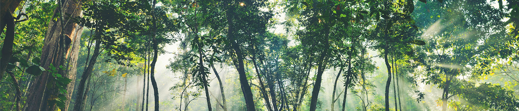 sustainability